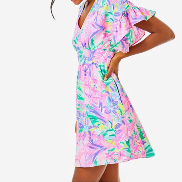 NWT Lilly Pulitzer Blaire Stretch Dress in “It Was All a Dream” - Picture 5 of 11